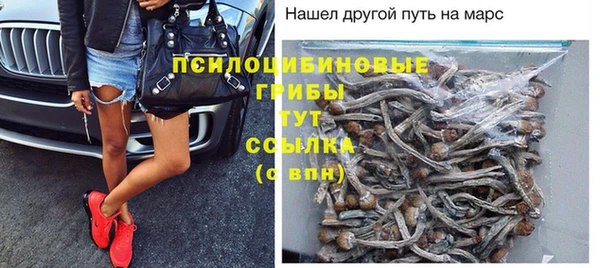 мескалин Богородицк